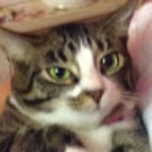 Meet your Posher, Chloe